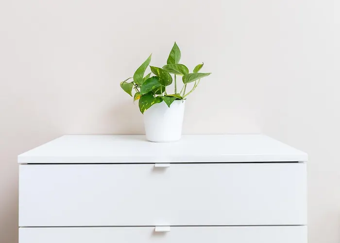 2br, Parking Included, Wi-fi, Next To Old Town *